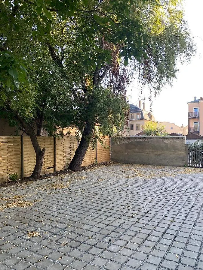 Apartmenthaus Sternstrasse Dresden