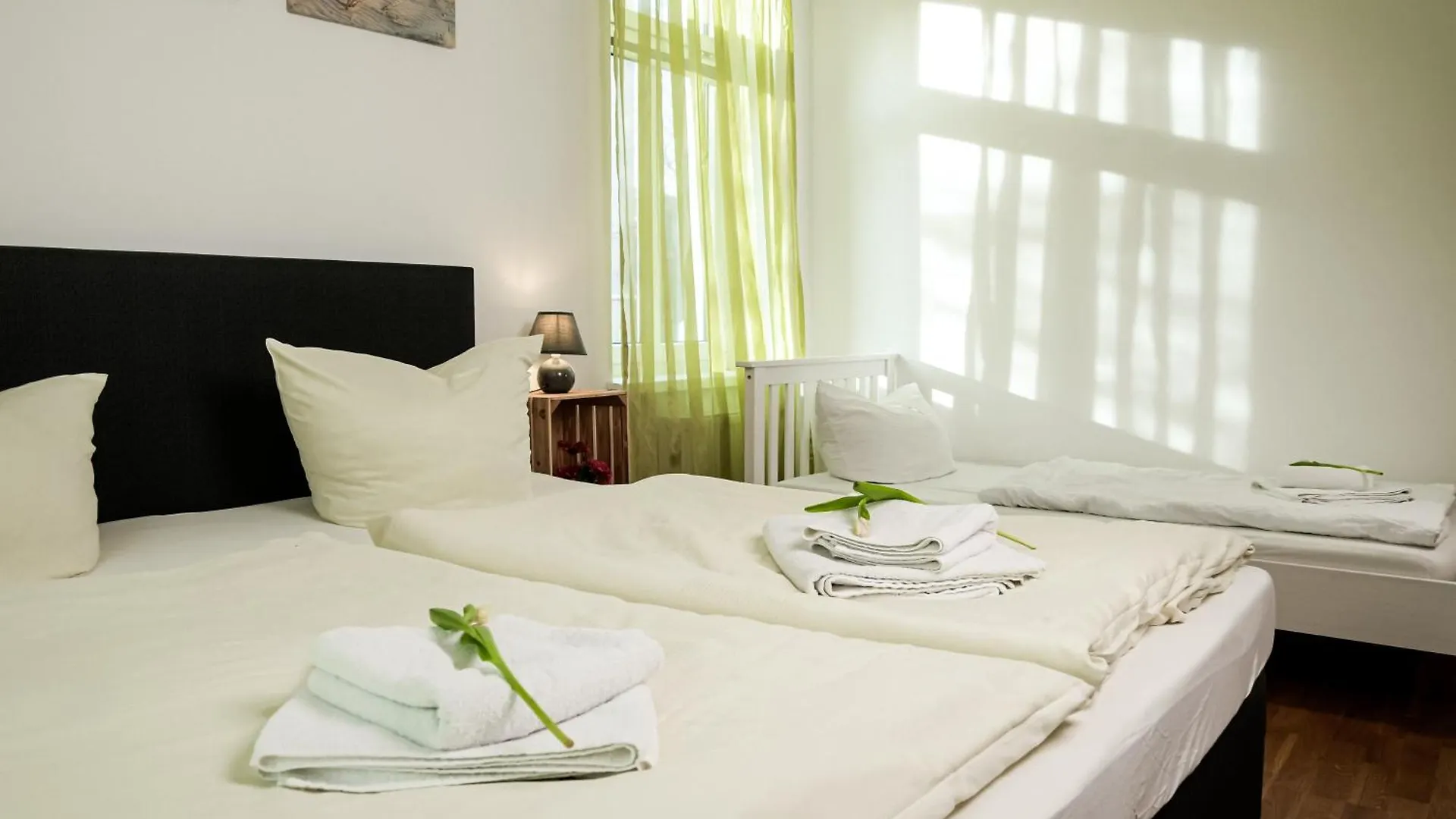 Apartmenthaus Sternstrasse Dresden