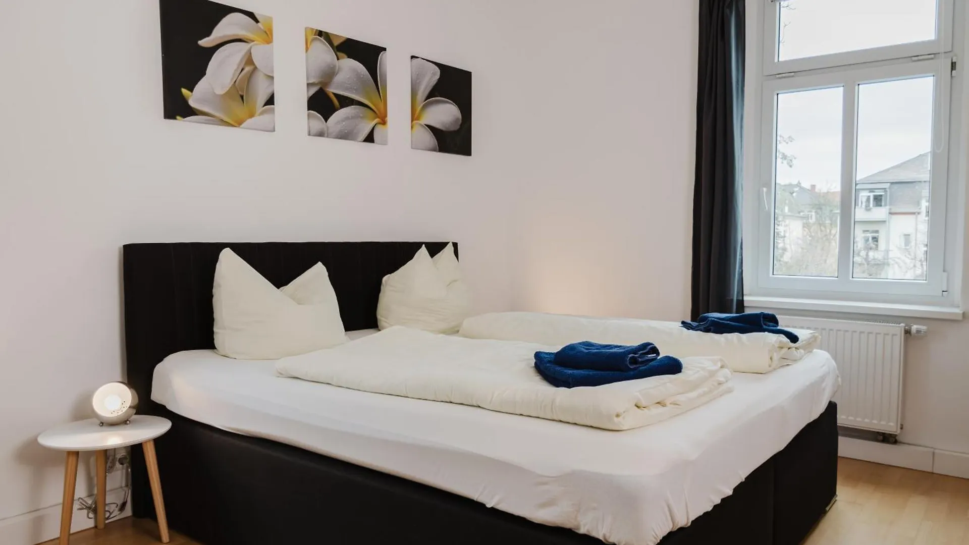 Apartment Apartmenthaus Sternstrasse Dresden